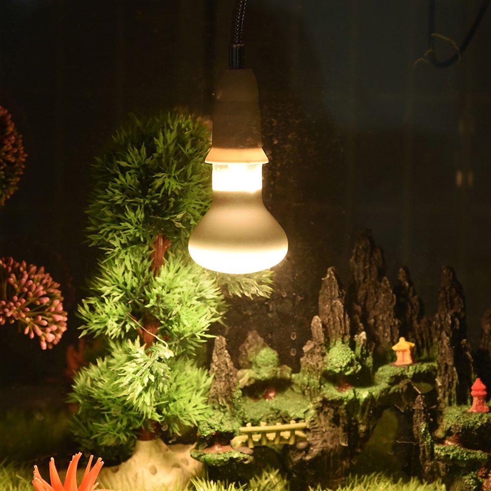 Basking Bulb Halogen - مصباح حراري للبرمائيات، مصباح هالوجين للأشعة