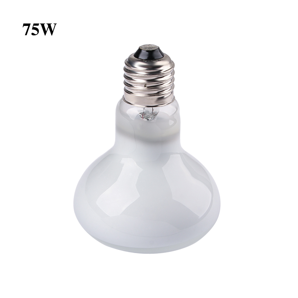 Basking Bulb Halogen - مصباح تدفئة للسلاحف، مصباح هالوجين، ضوء
