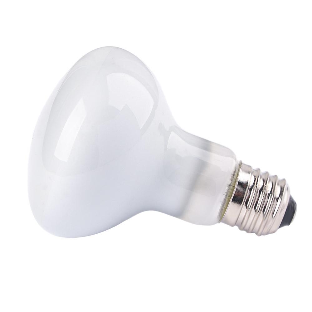 Basking Bulb Halogen - جهاز التحكم في درجة الحرارة للبرمائيات،